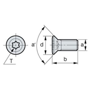 KMS 6 Senkschraube, M10x1.0, L=16 (60°)