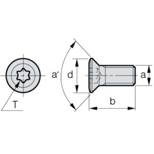 FTKA01842 Wendeplatten-Torxschraube, M1.8x0.35, L=4.2 (60°)