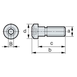 CHX0518 Spannpratzenschraube, M5x0.8, L=21.5 (180°)