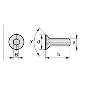 SHX0310 Wendeplatten-Torxschraube, M3x0.5, L=10 (91°)